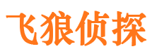 椒江市私家侦探